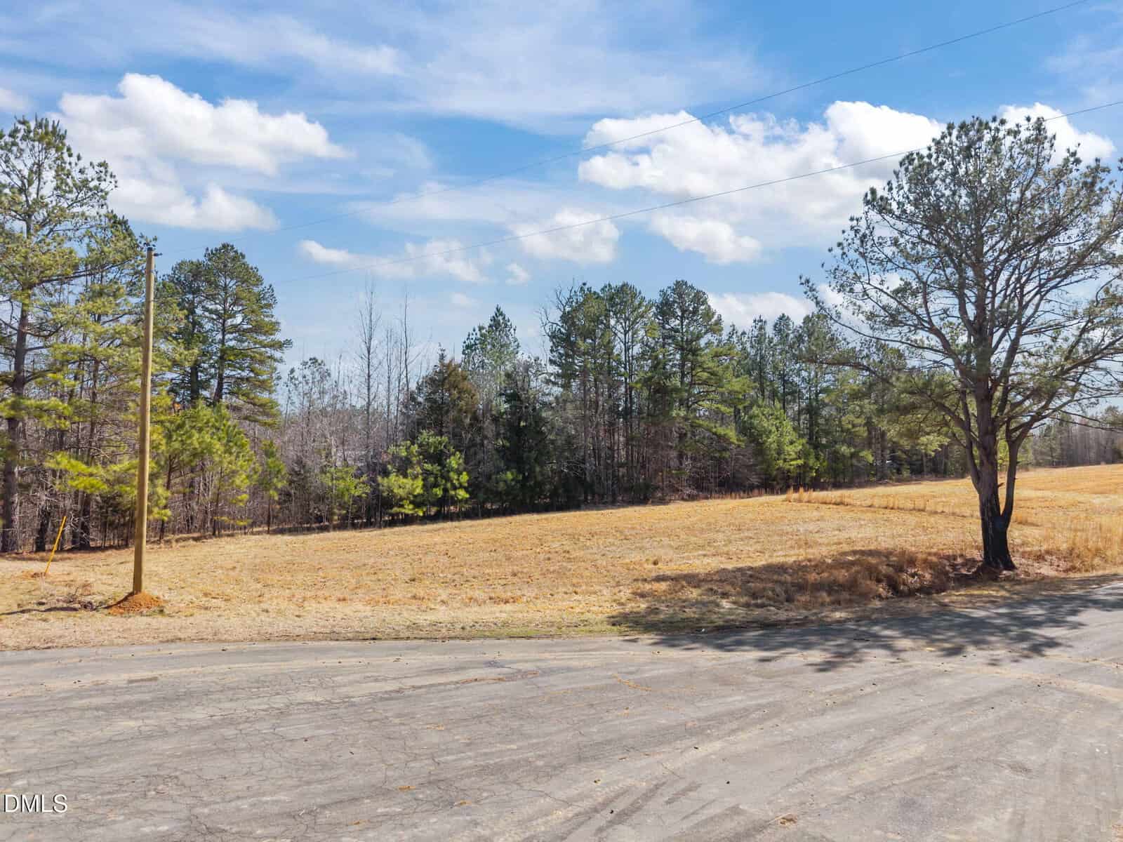 A paved road curves beside an open, grassy field bordered by tall pine trees under a mostly clear sky with scattered clouds. Power lines run above the field.