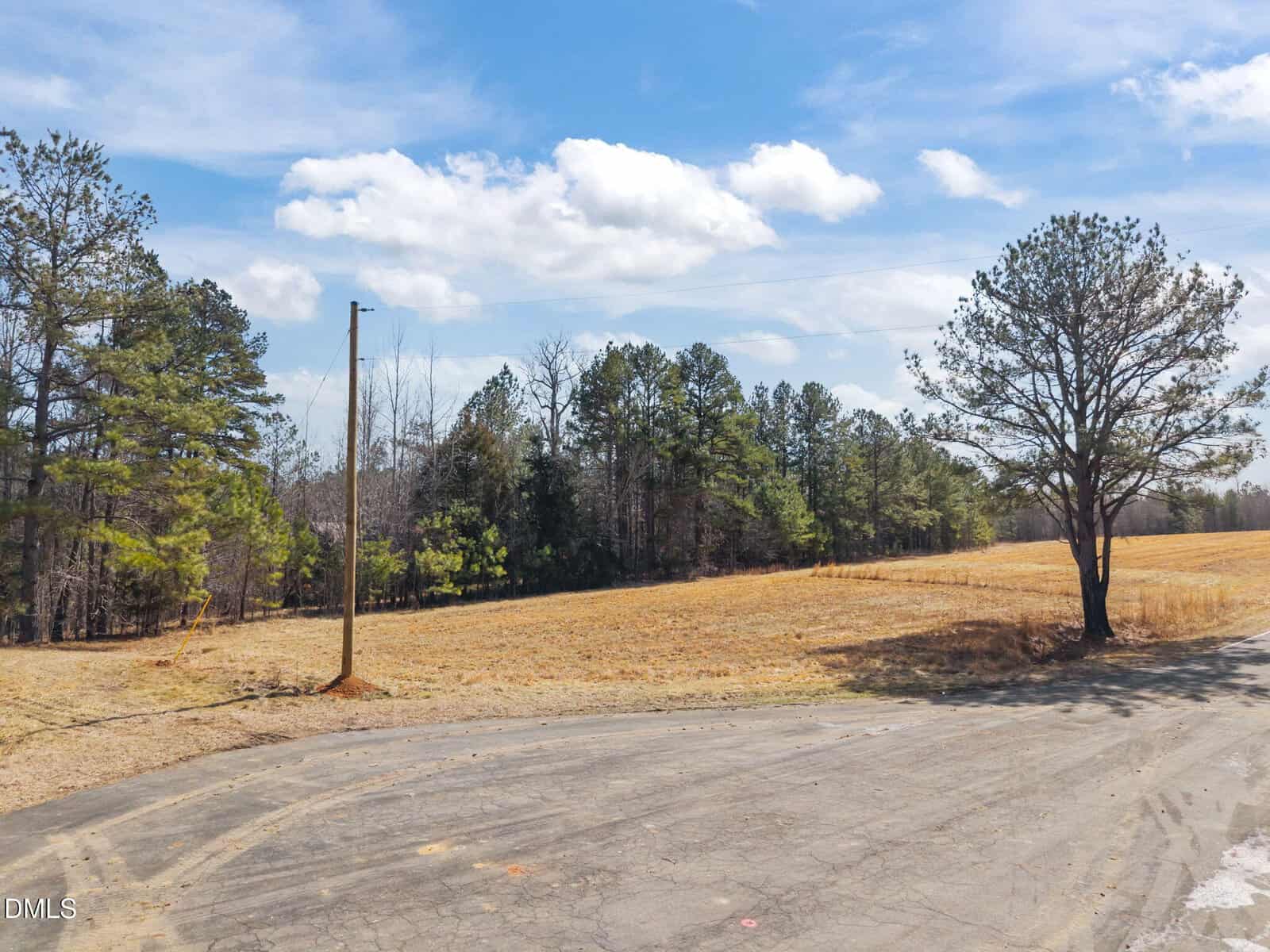 A paved road curves next to an open, dry grassy field bordered by trees under a blue sky with scattered clouds. A utility pole stands at the edge of the field.