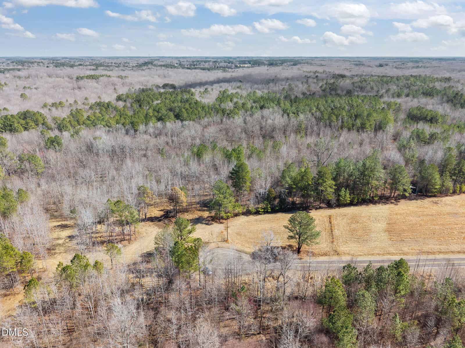 Aerial view of a rural area featuring a mix of leafless and evergreen trees, a patch of open field, and a narrow paved road curving through the landscape under a partly cloudy sky.