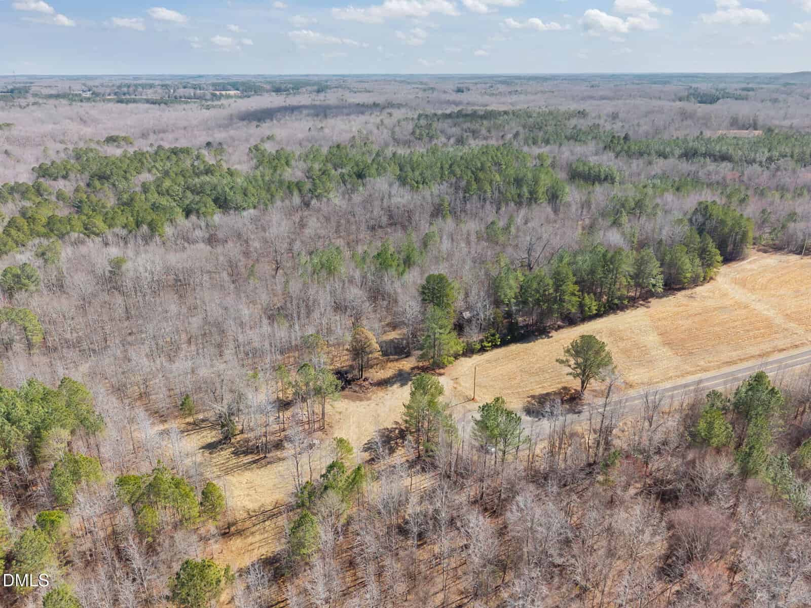 Aerial view of a rural landscape with a mix of leafless and evergreen trees, open grassy fields, and a road running through the area under a partly cloudy sky.