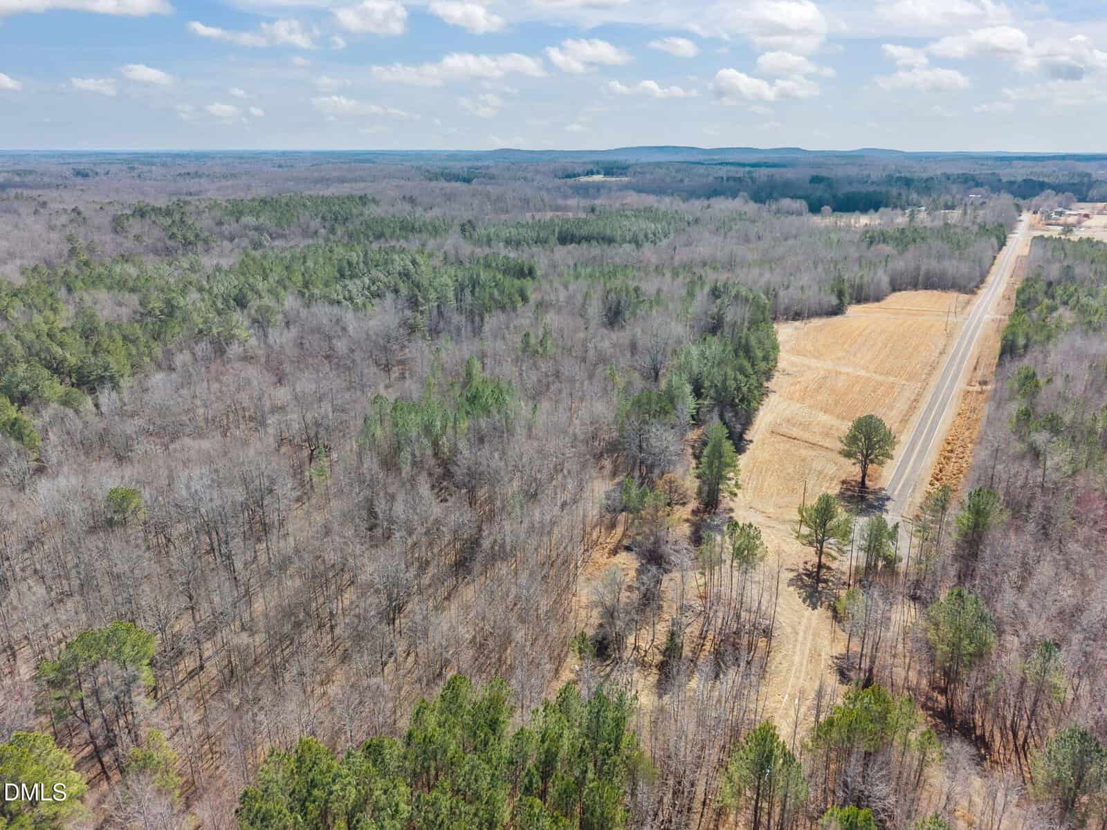 A rural landscape with a paved road running through fields and a mix of leafless and evergreen trees under a partly cloudy sky. The image shows expansive forested areas and distant rolling hills.