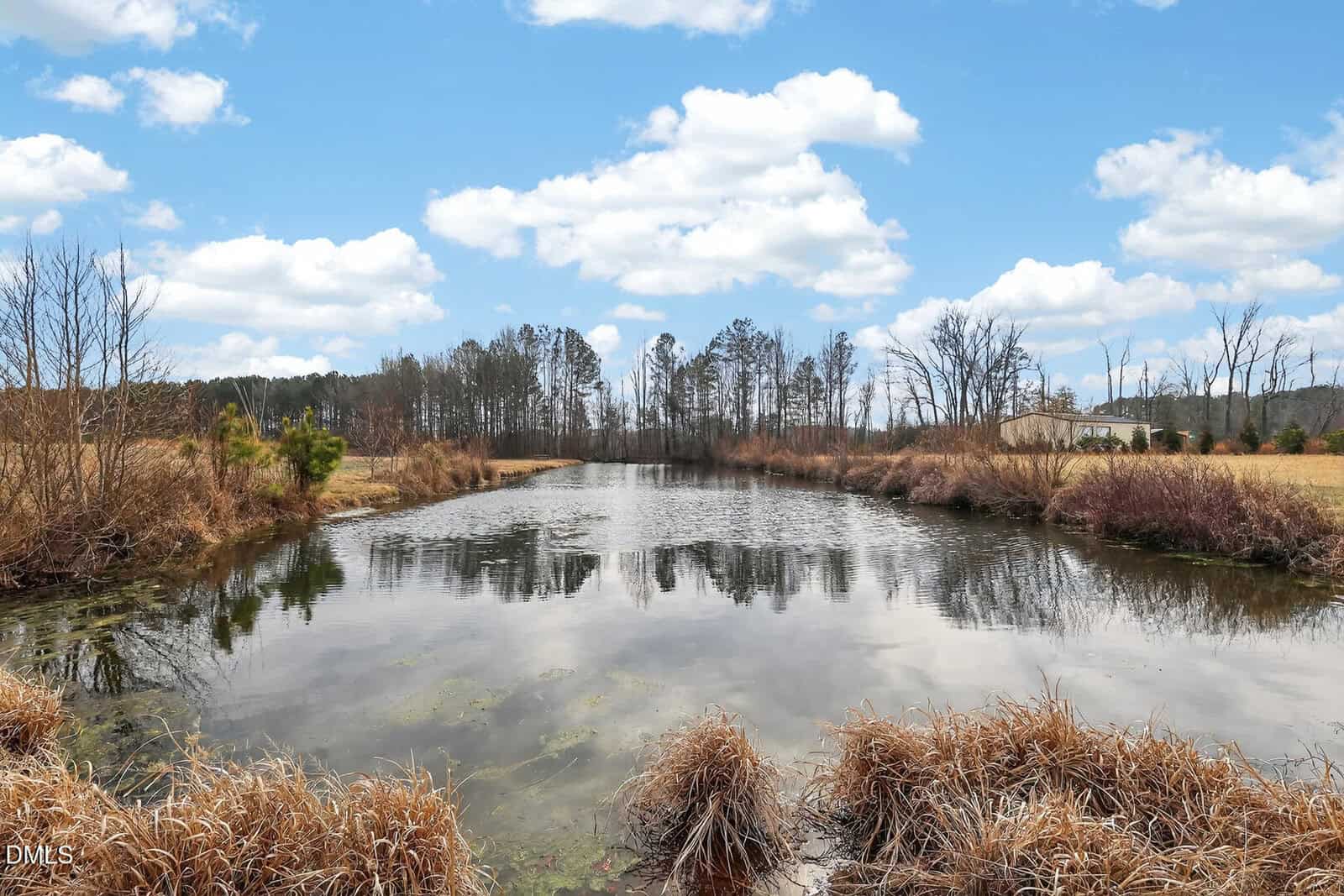 A calm pond surrounded by dry grass and trees under a blue sky with scattered clouds; a house and field are visible in the distance.