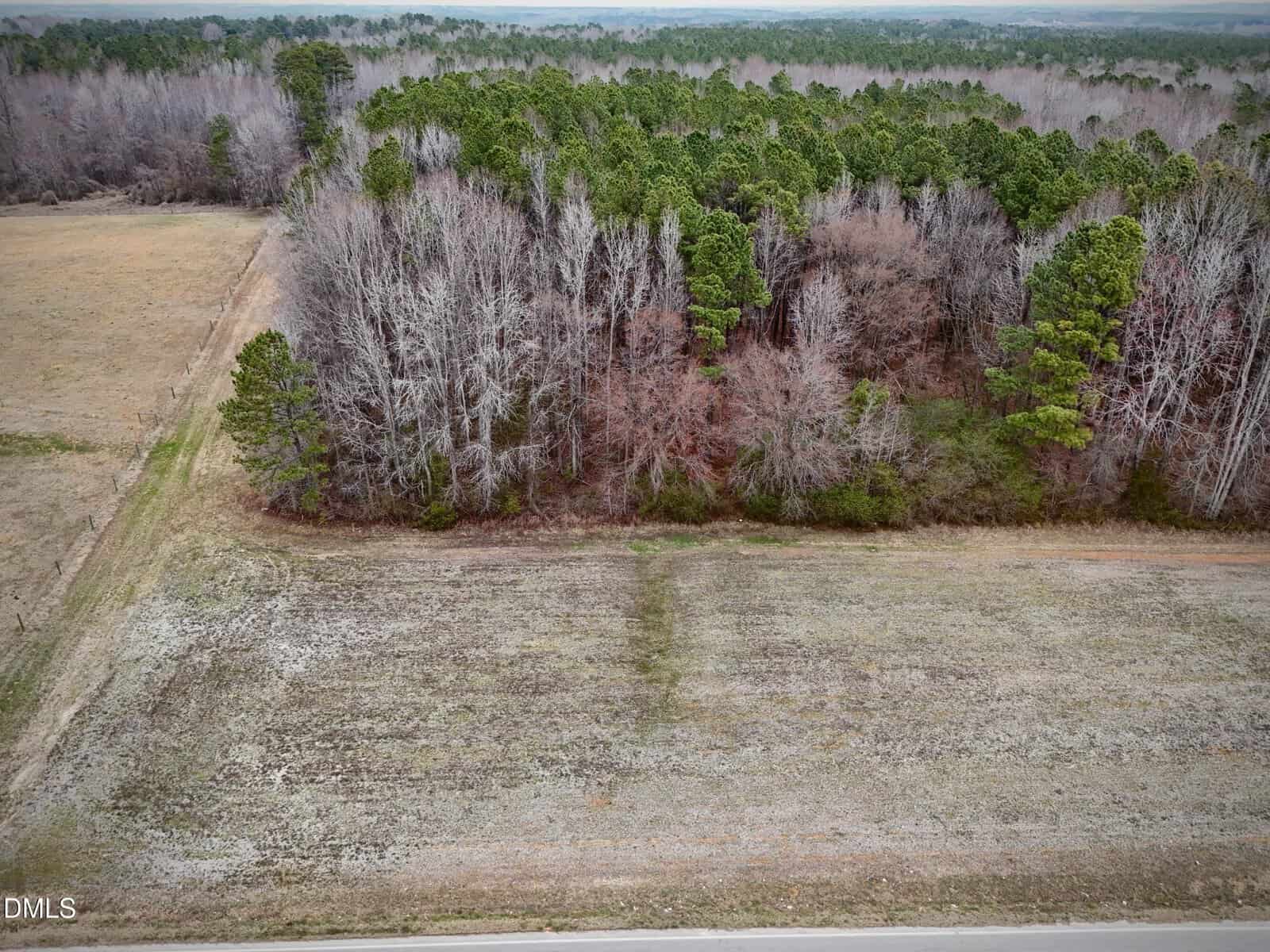 Aerial view of a rural area with an open grassy field in the foreground, a road at the bottom edge, and a dense forest with bare and green trees in the background.