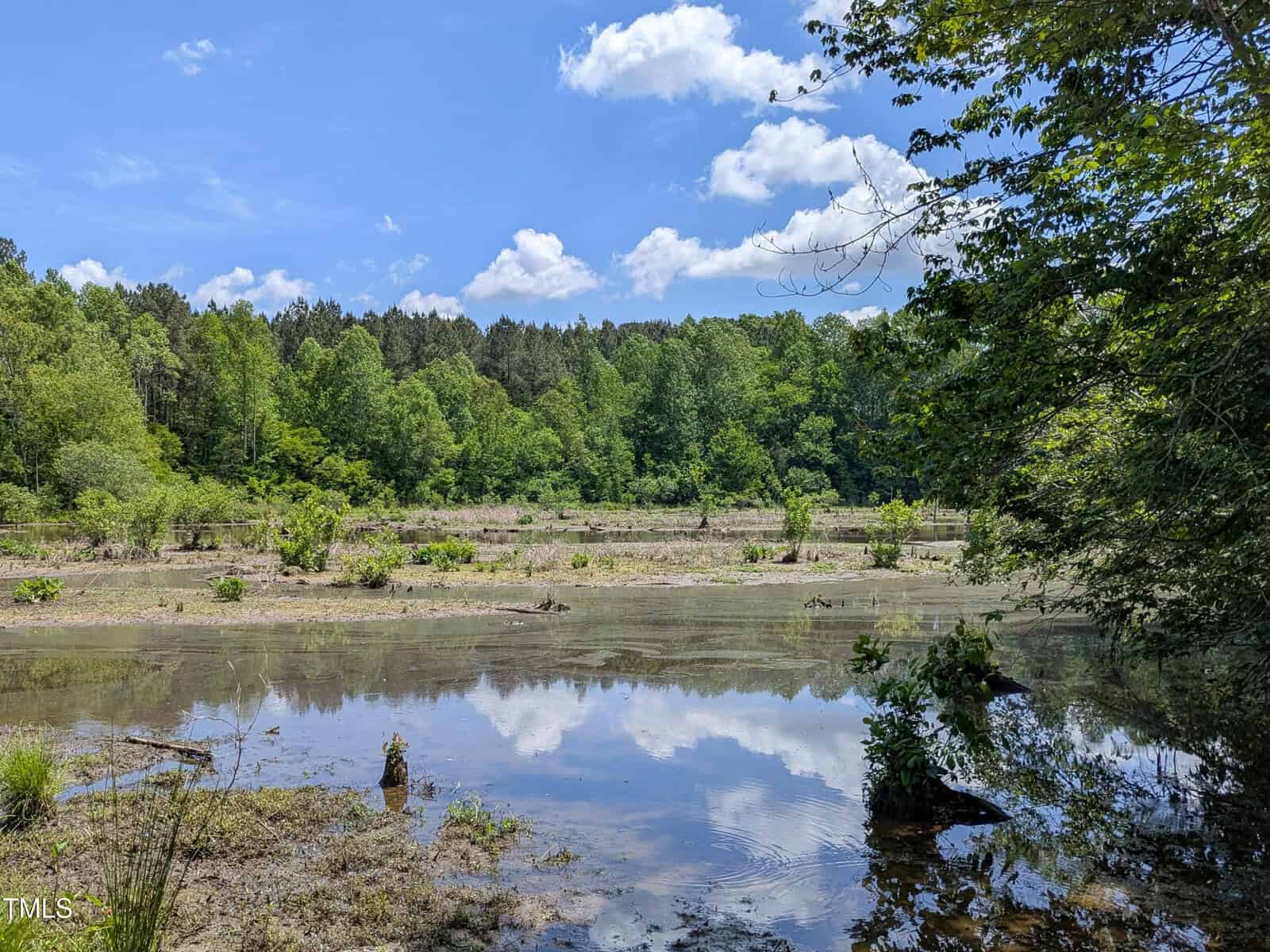 A shallow pond reflects the blue sky and clouds, surrounded by green trees and vegetation. The landscape appears natural and undisturbed, under bright sunlight.
