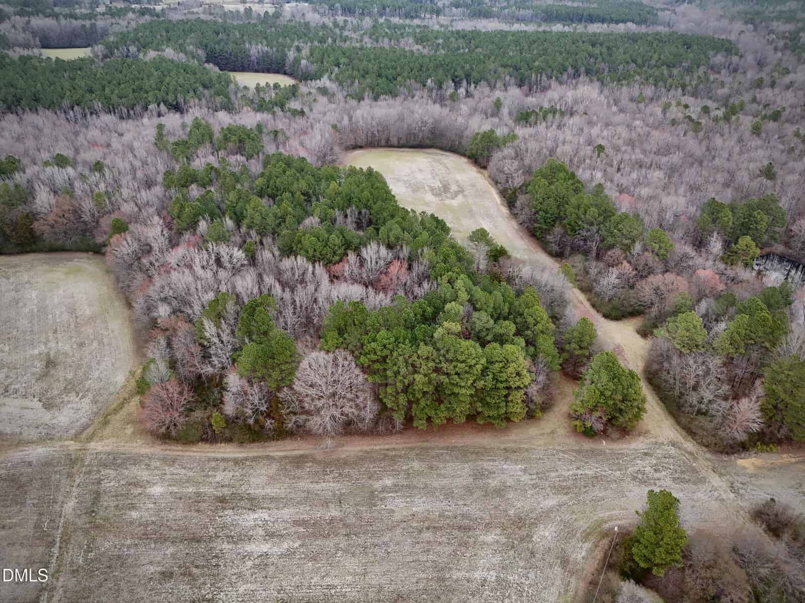 Aerial view of a rural landscape with patches of forest and open grassy fields; trees are a mix of green pines and leafless deciduous varieties, forming natural borders between sections of land.