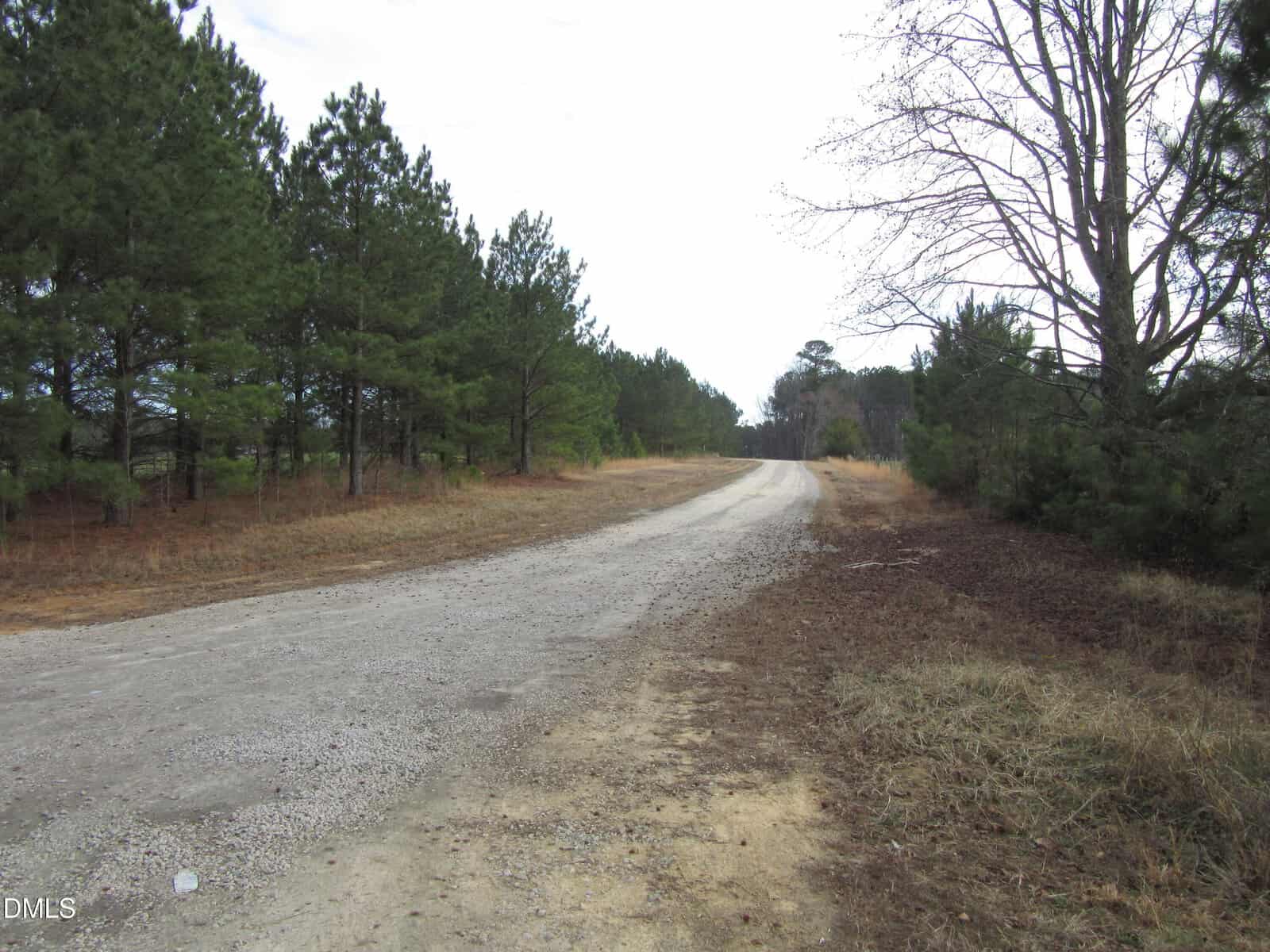 A gravel road curves through a rural area bordered by pine trees and grass. The sky is mostly cloudy, and the scene appears quiet with no people or vehicles present.