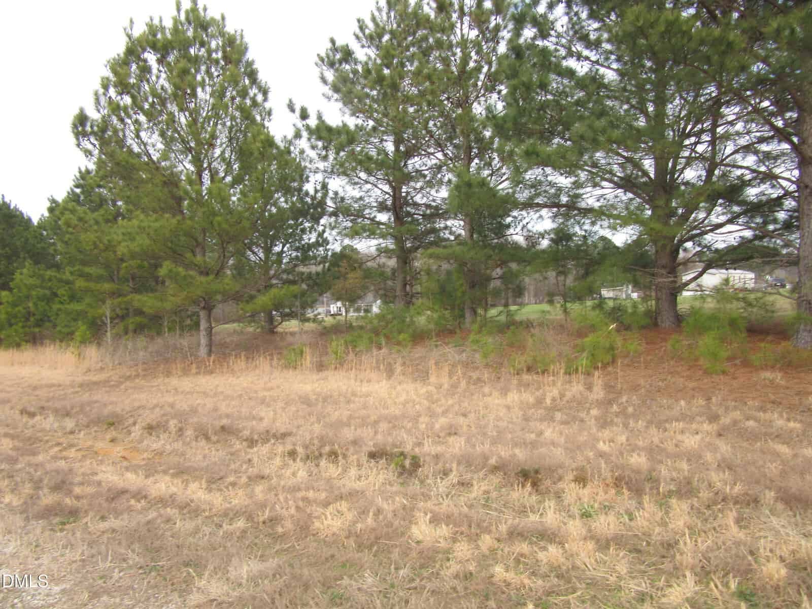 A grassy field with patches of dry grass in the foreground, several tall pine trees in the midground, and a few buildings partially visible through the trees in the background under a cloudy sky create a serene scene on Lot 2 Johnson Town Road, Zebulon.