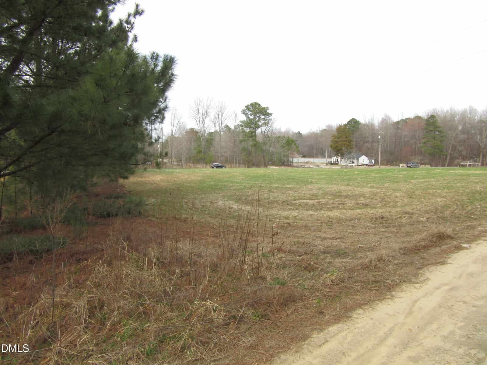 A grassy, open field bordered by trees on the left and a dirt road on the right; a few cars and small houses are visible in the background under an overcast sky.