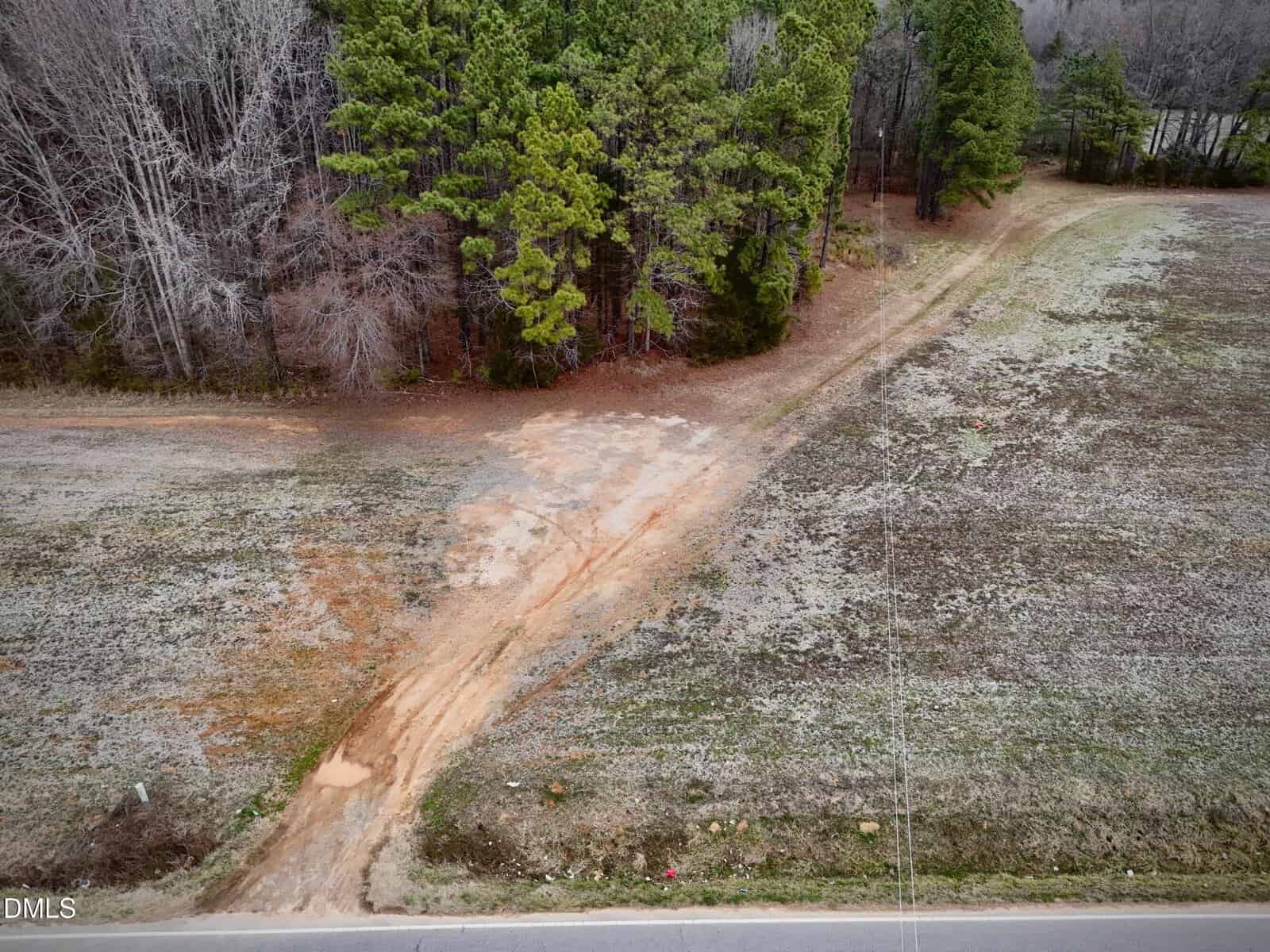 A dirt path leads from a paved road through a grassy field toward a cluster of tall pine trees, with bare trees visible behind the pines on a cloudy day.