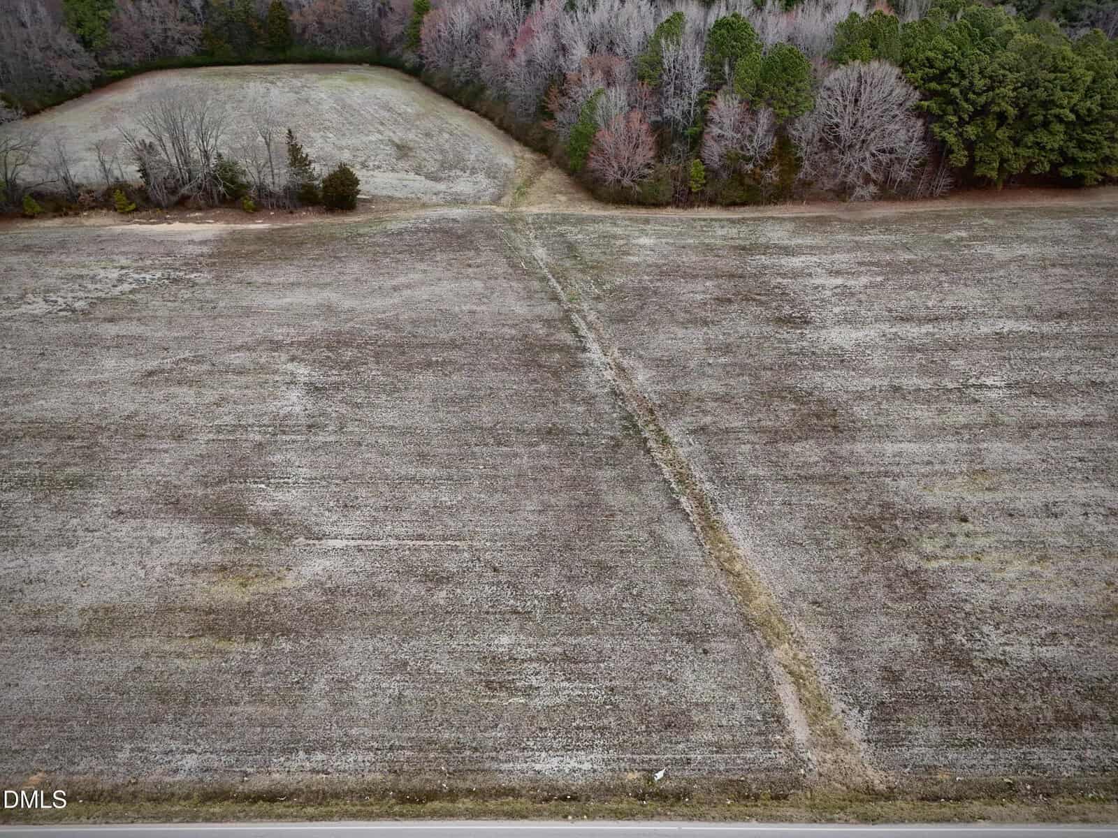 Aerial view of a barren field with a faint path running through the middle, bordered by a line of trees with sparse foliage in the background.
