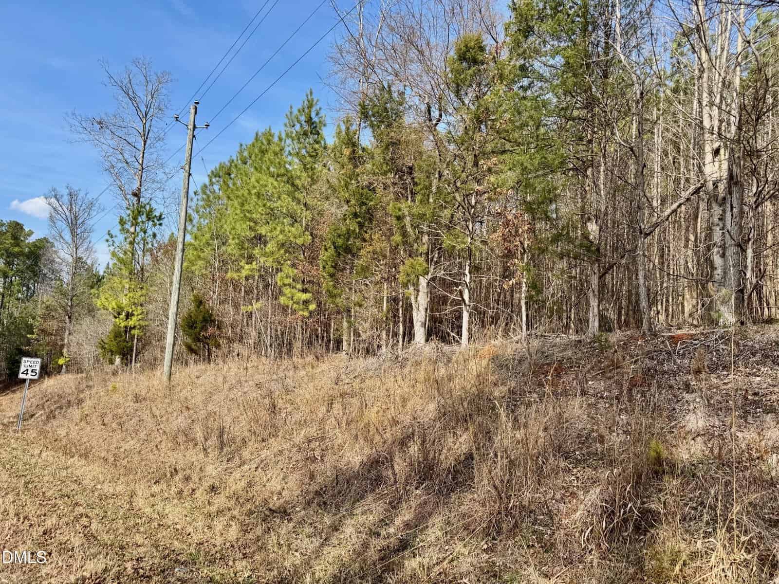 A roadside view shows a grassy, sloped shoulder with a 45 mph speed limit sign and power lines. Dense trees and shrubs fill the background under a clear blue sky.