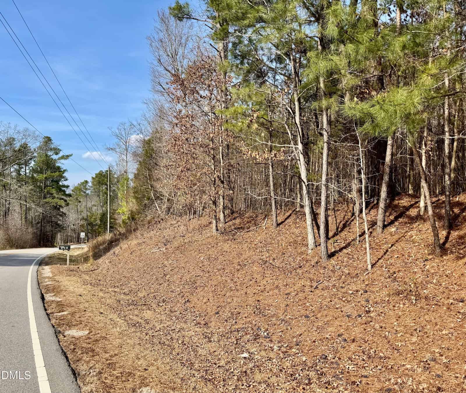 A paved road curves to the left alongside a sloped, leaf-covered embankment with pine and deciduous trees. Power lines run parallel to the road under a clear blue sky.