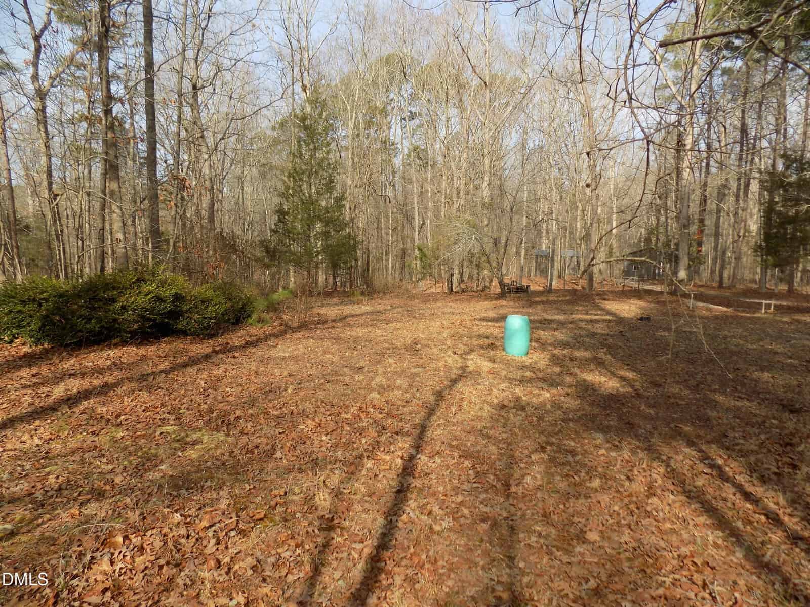 A wooded backyard with leaf-covered ground, scattered bare trees, some green bushes on the left, and a bright blue barrel standing upright near the center. Sunlight casts long tree shadows across the yard.