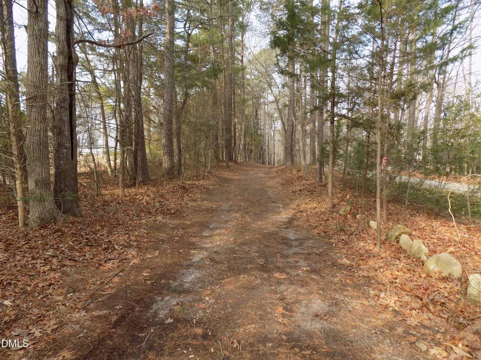 A dirt trail runs through a forest with tall, thin trees on both sides near Youngsville. The ground is covered with dry leaves, and a row of rocks lines the right edge of the path by 598 Moores Pond Road. The sky is mostly obscured by tree branches.
