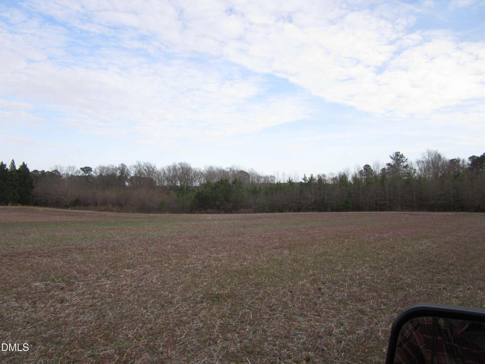 A flat field with sparse grass and patches of bare soil in the foreground. Leafless trees and evergreens line the horizon under a mostly cloudy sky. The edge of a car side mirror is visible in the lower right corner.