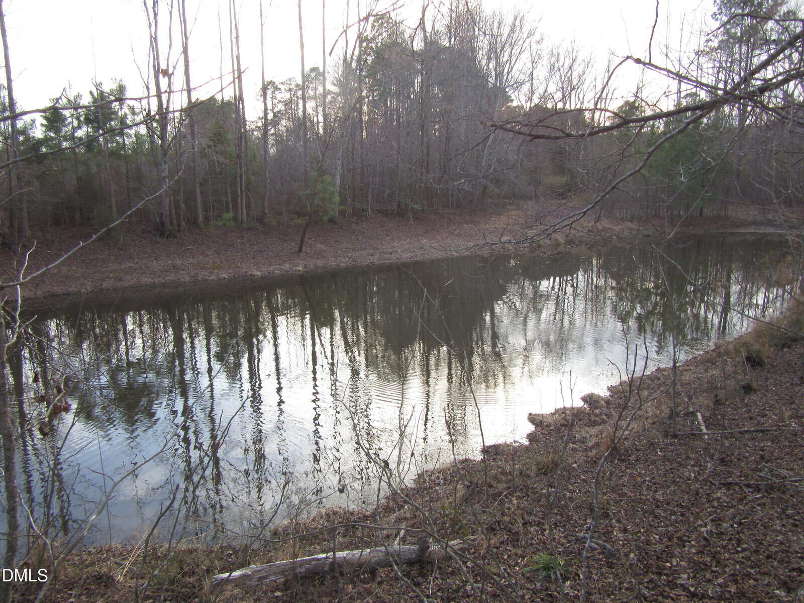 A small pond surrounded by leafless trees and dry ground, reflecting the trees and cloudy sky in the water. The area appears quiet and natural, with scattered branches on the bank.