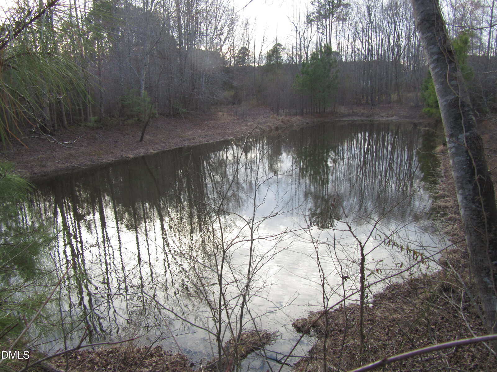 A small pond surrounded by leafless trees and undergrowth, with tree branches reflected in the water; the ground is covered in brown leaves, and the sky is overcast.