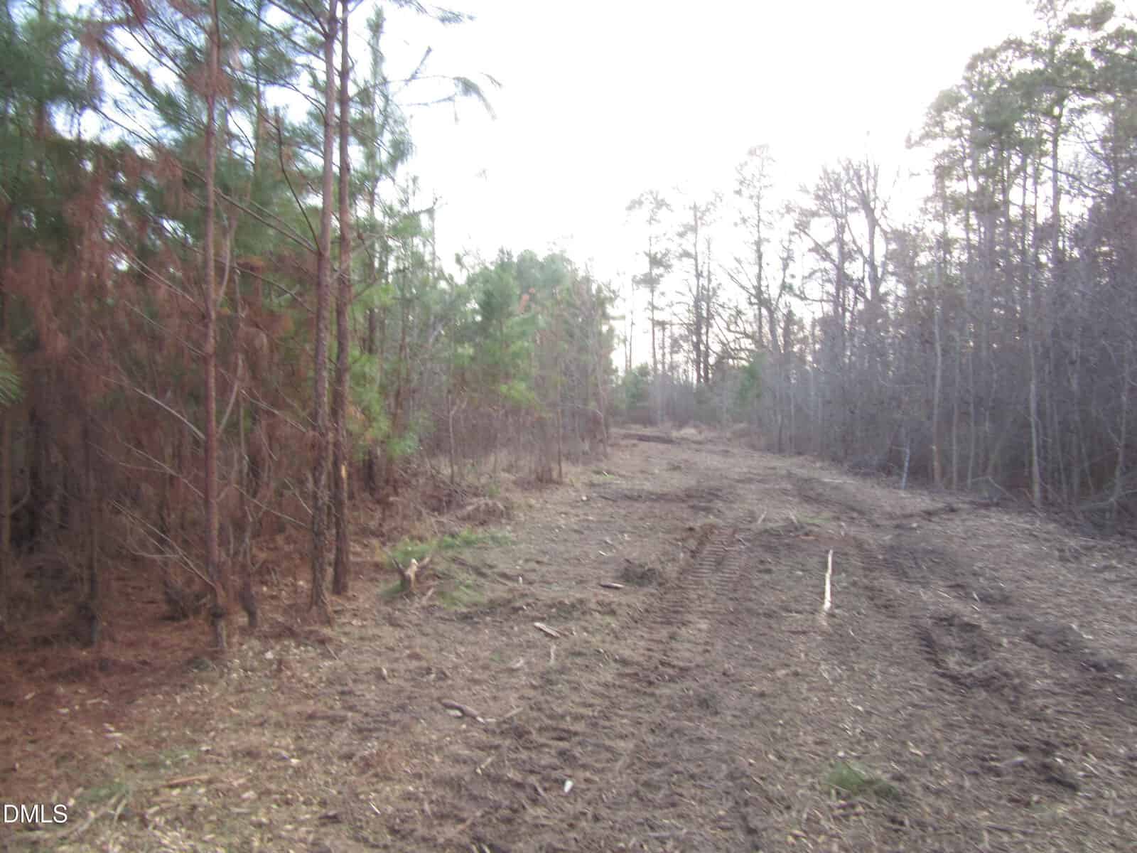 A cleared dirt path runs through a wooded area with trees on both sides, some with green needles and others bare. Tire tracks are visible in the soil. The sky is light and partially cloudy.