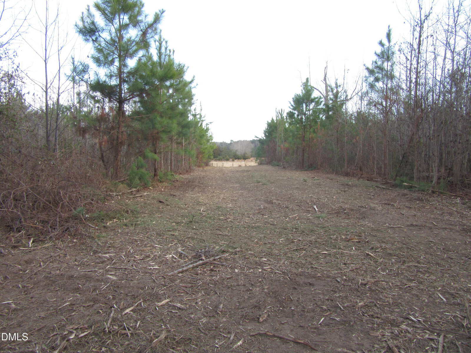 Cleared dirt path runs through a wooded area with pine and leafless trees on both sides. The sky is overcast, and vegetation is sparse along the ground. A light-colored barrier is visible in the distance.