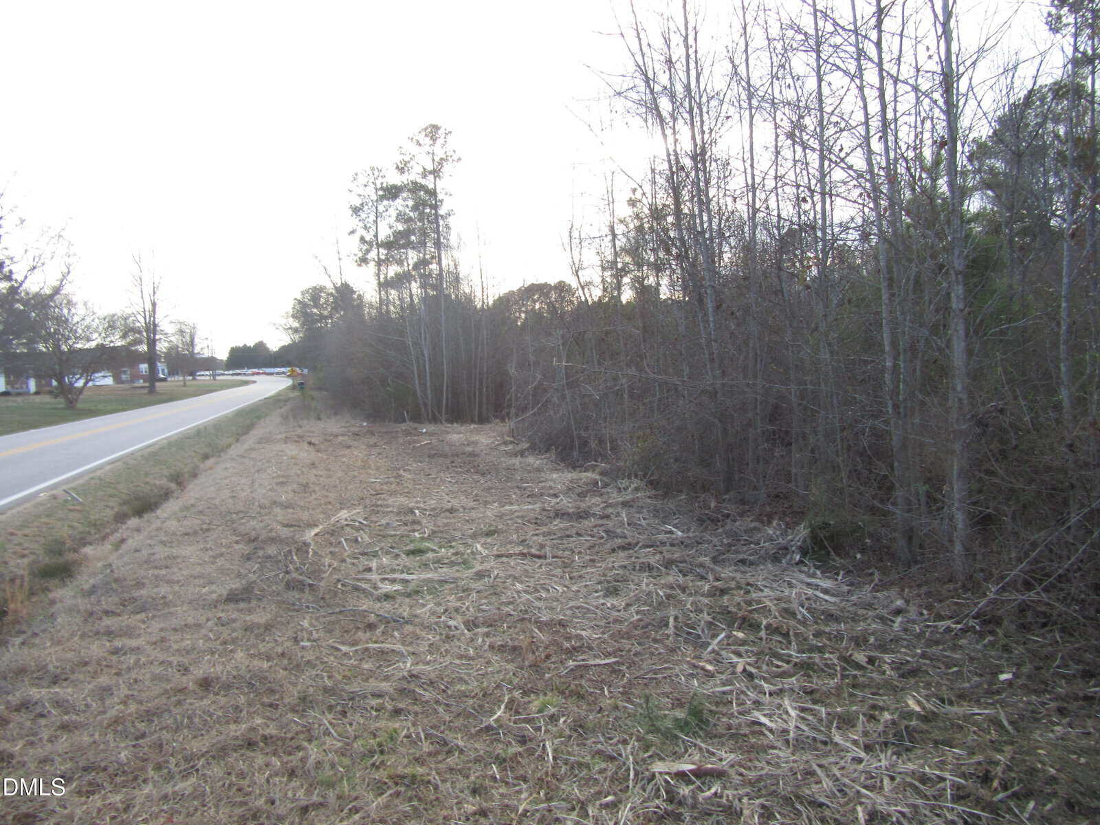 A rural roadside with a two-lane road on the left and a cleared, grassy area leading to a thicket of leafless trees on the right. Sparse vegetation and bare branches suggest a winter or early spring setting.