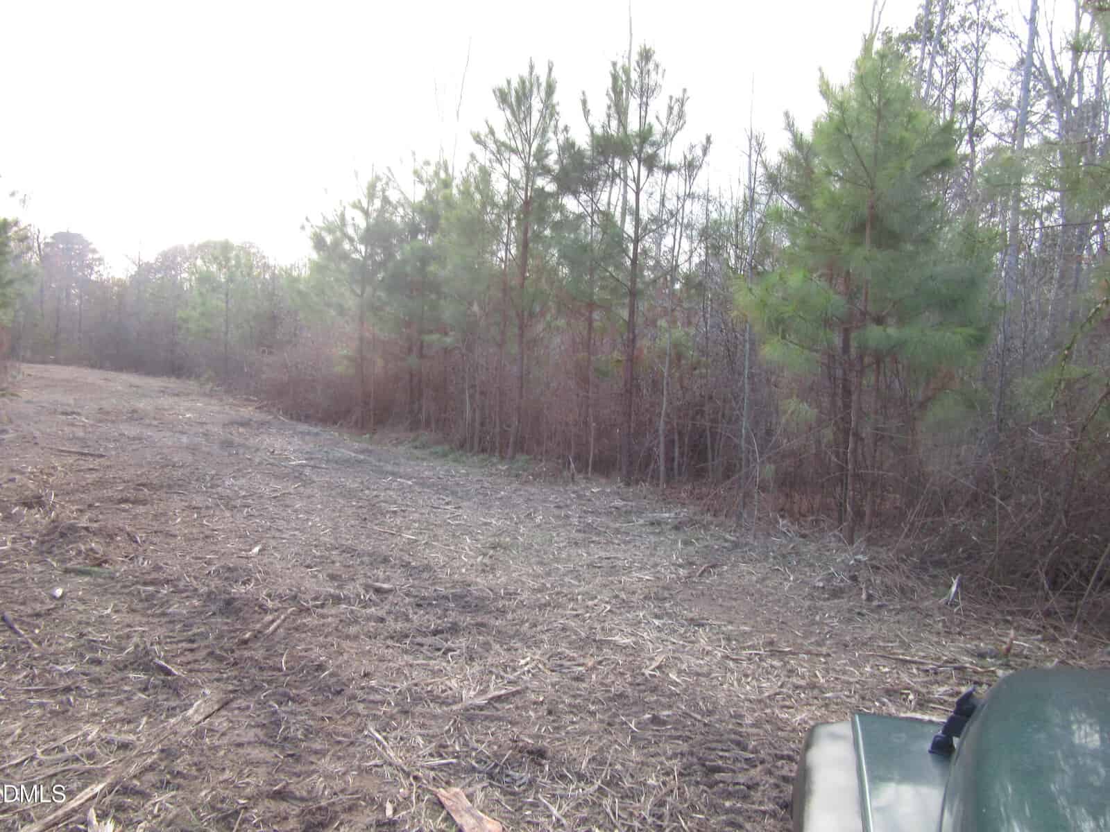 Cleared dirt path running alongside a dense line of young pine trees, with the edge of a green vehicle visible in the lower right corner. The sky appears overcast.
