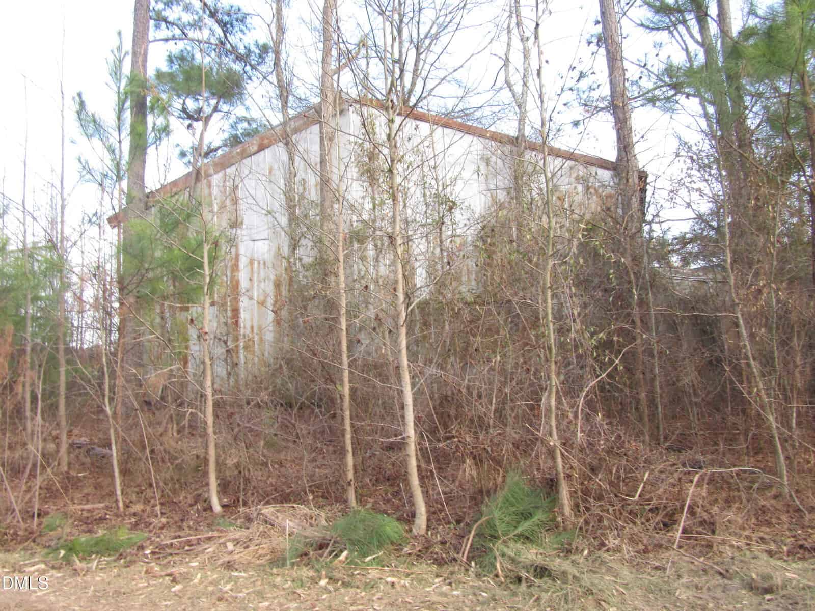 A large, weathered metal building stands behind leafless trees and overgrown vegetation. The ground in the foreground is covered with dry grass and pine needles. The sky is mostly cloudy.