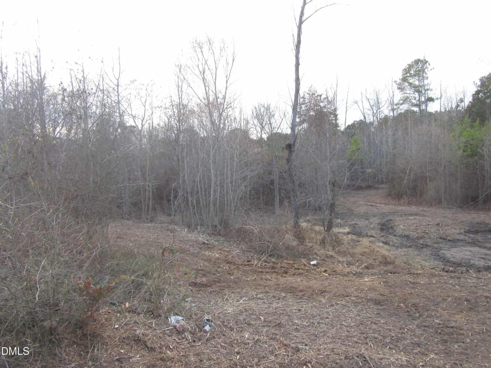 Cleared area of land with dry grass and scattered leafless trees; some sparse green foliage is visible in the background under an overcast sky.