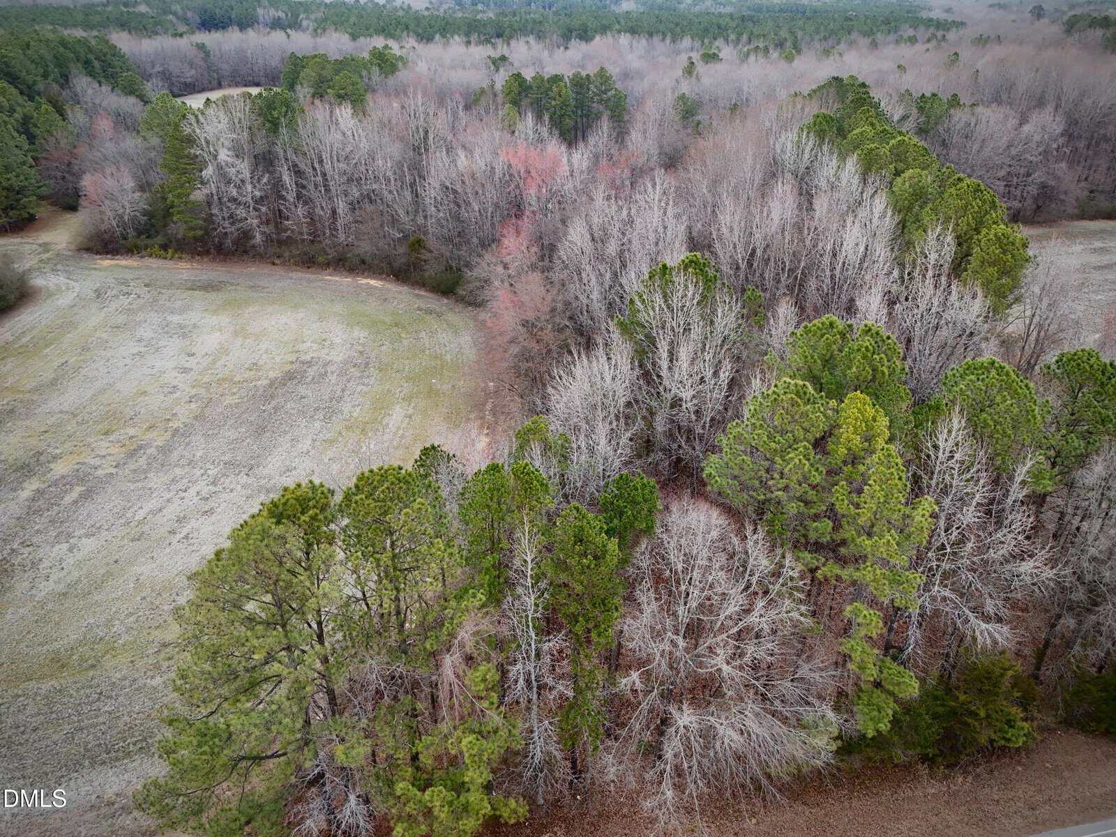 Aerial view of a forested area with a mix of evergreen and leafless deciduous trees bordering an open, grassy field, taken during late fall or winter.