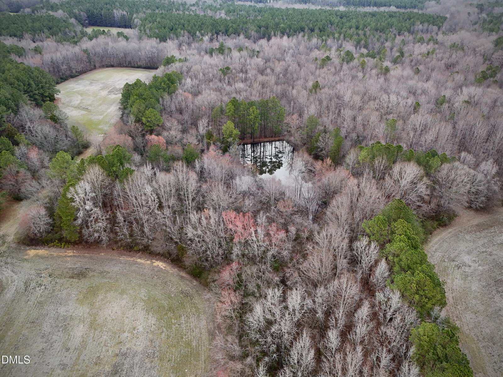 Aerial view of Lot 7 W River Road, Franklinton: a small pond encircled by dense, leafless trees and patches of green pines. Open grassy fields border the woods, with a forest stretching into the distance.