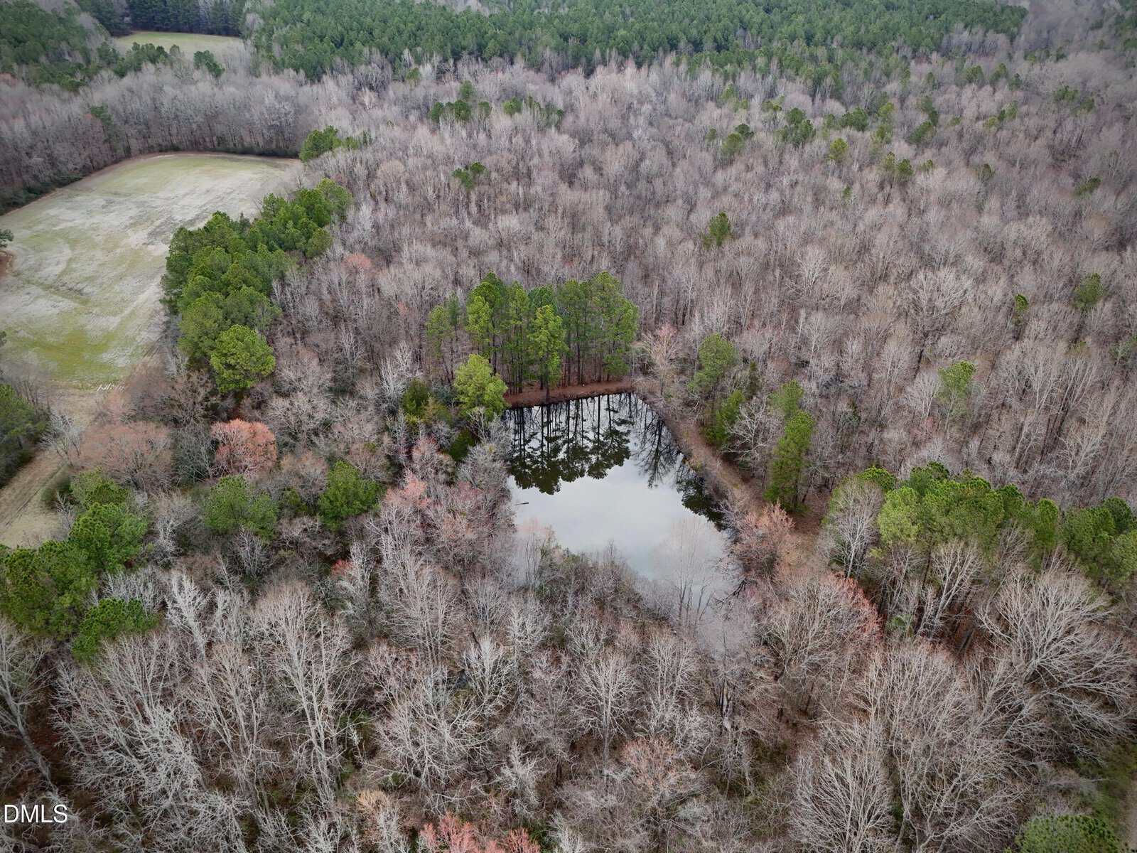 Aerial view of a small pond surrounded by leafless trees and dense forest, with a grassy clearing in the upper left. The pond reflects nearby trees, and the landscape has a winter appearance.