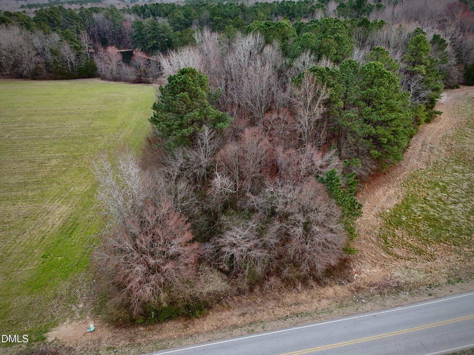 Aerial view of a rural landscape featuring a patch of leafless and evergreen trees next to a grassy field and a two-lane road, with more trees and hills in the background.