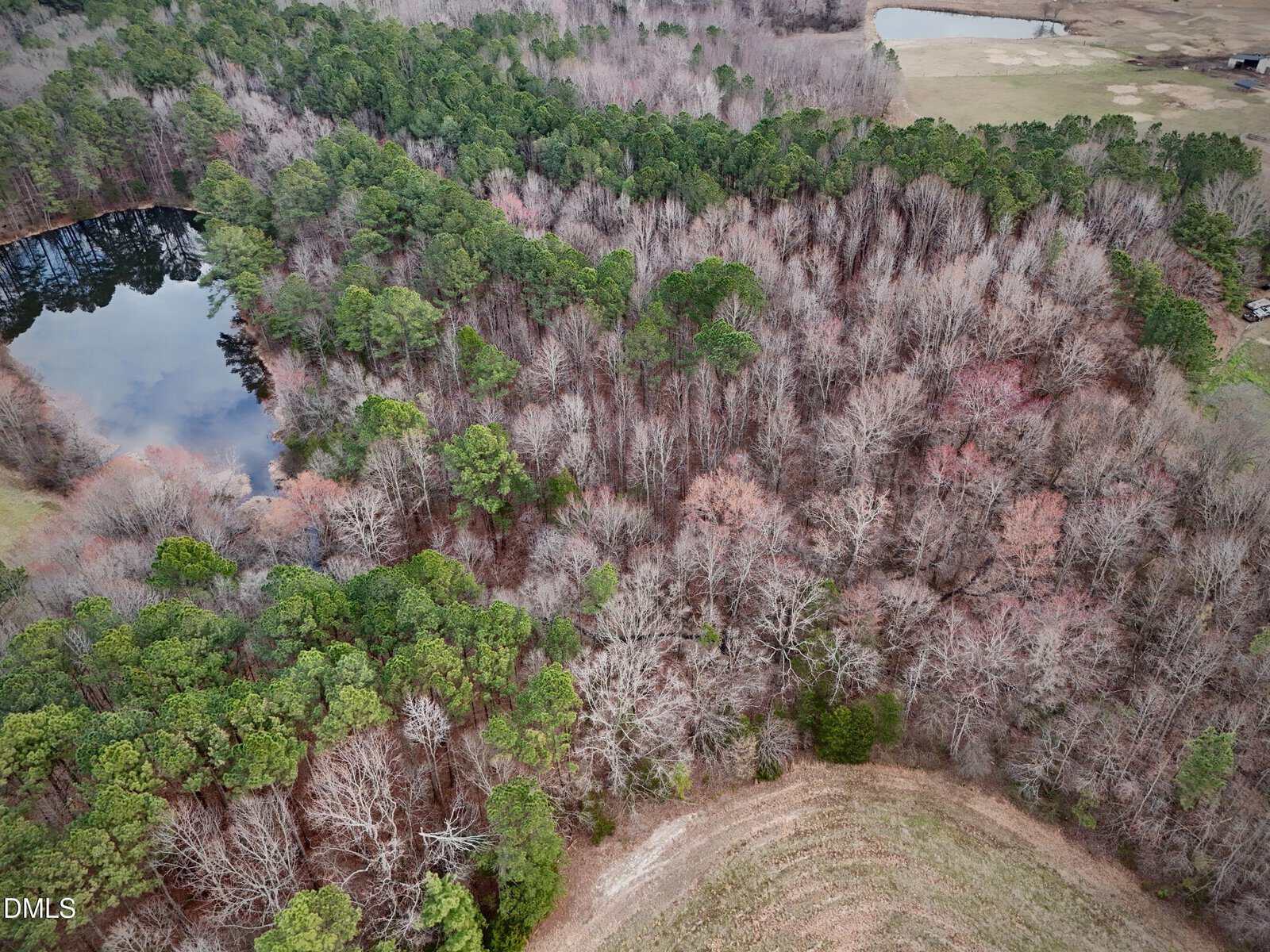 Aerial view of Lot 9 Sims Bridge Road, Franklinton, featuring a forested area with evergreen and leafless trees, a small pond reflecting the trees on the left, and grassy open land in the background.