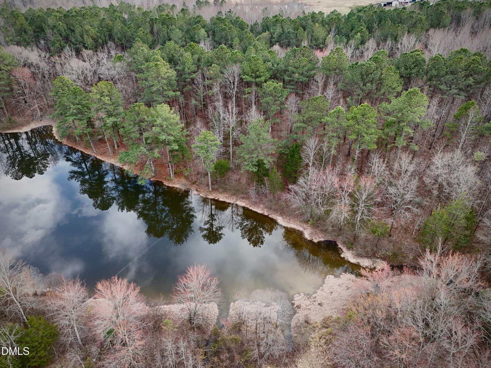 Aerial view of a calm pond surrounded by dense trees, some with green foliage and others with bare branches. The water reflects the sky and trees, creating a mirror-like effect.
