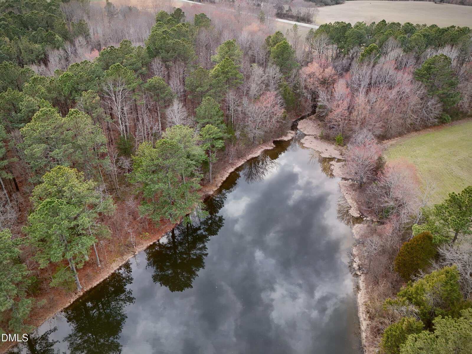 Aerial view of a calm pond surrounded by dense trees, some with bare branches, reflecting the cloudy sky. A grassy area borders the right side, and a road is visible in the upper part of the image.