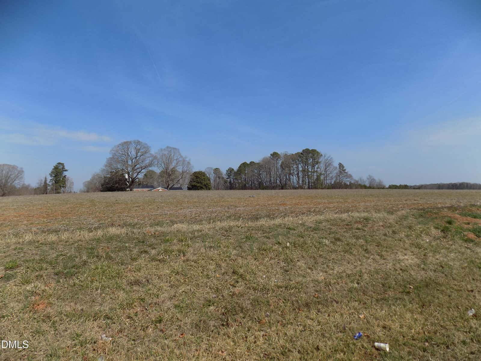 A grassy open field under a blue sky with scattered trees and a few houses in the distance. Some litter is visible in the foreground.