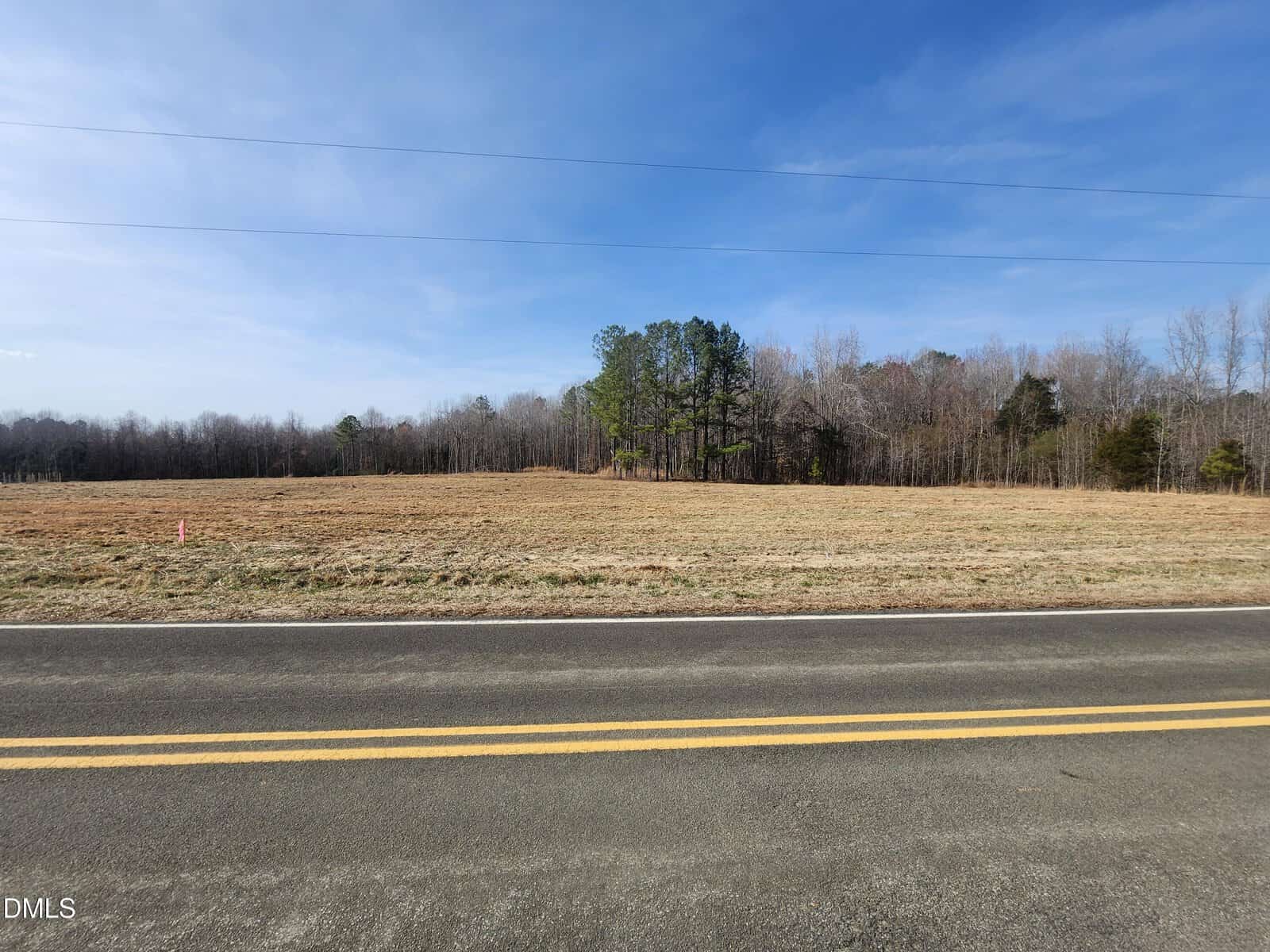 A paved road with yellow lines runs in front of an open grassy field bordered by leafless trees and a few evergreen trees under a blue sky.