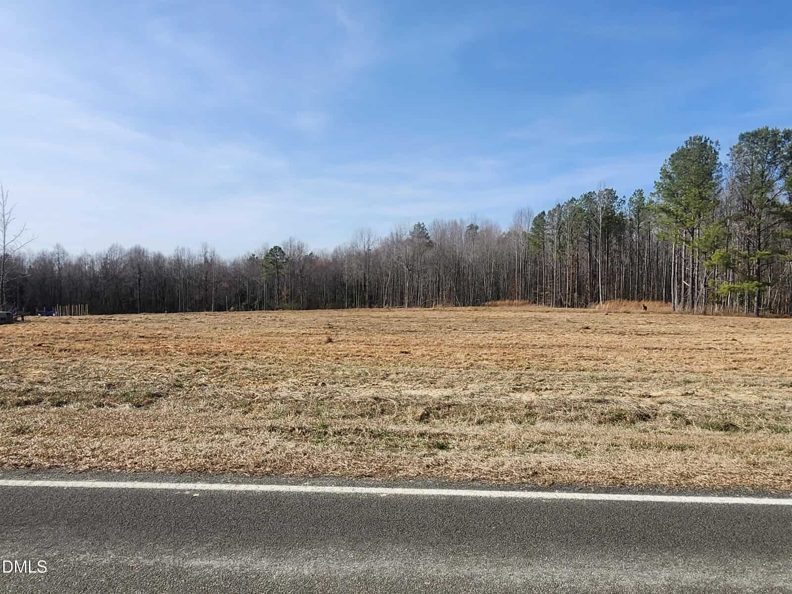 A paved road borders an open, grassy field with some patches of dry grass. Leafless trees and a few evergreens form a wooded area in the background under a clear blue sky.