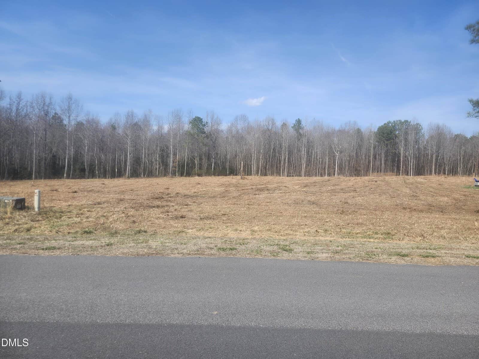 An empty, grassy lot bordered by a road in the foreground and a line of leafless trees in the background under a clear blue sky.