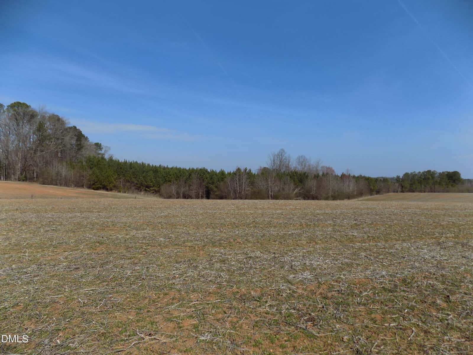 Open field with sparse grass, patches of bare soil, and scattered twigs in the foreground. Trees and a forest edge line the horizon under a clear blue sky.