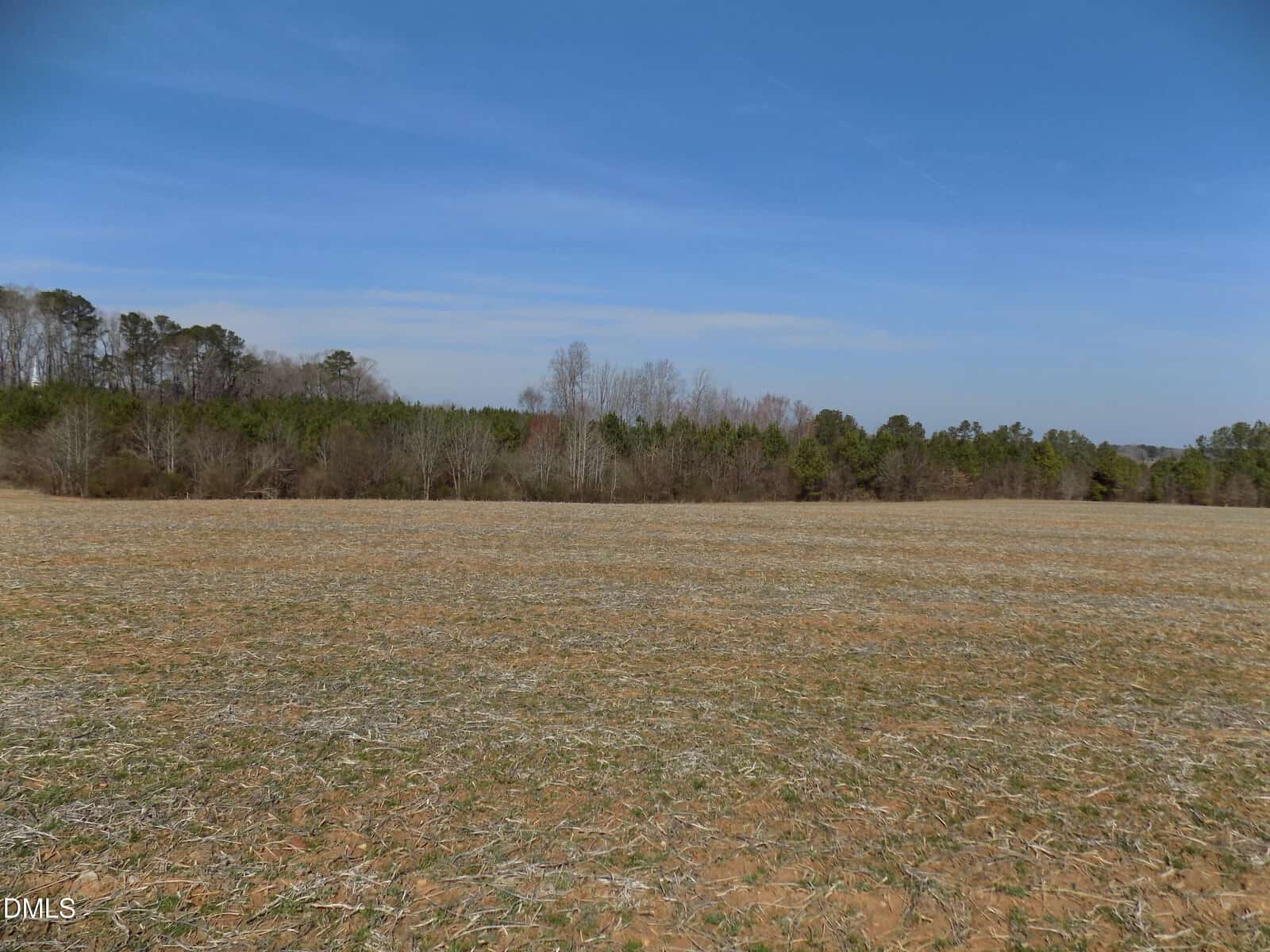 A flat, open field with patchy grass and dry soil under a clear blue sky. A line of trees marks the horizon in the background.