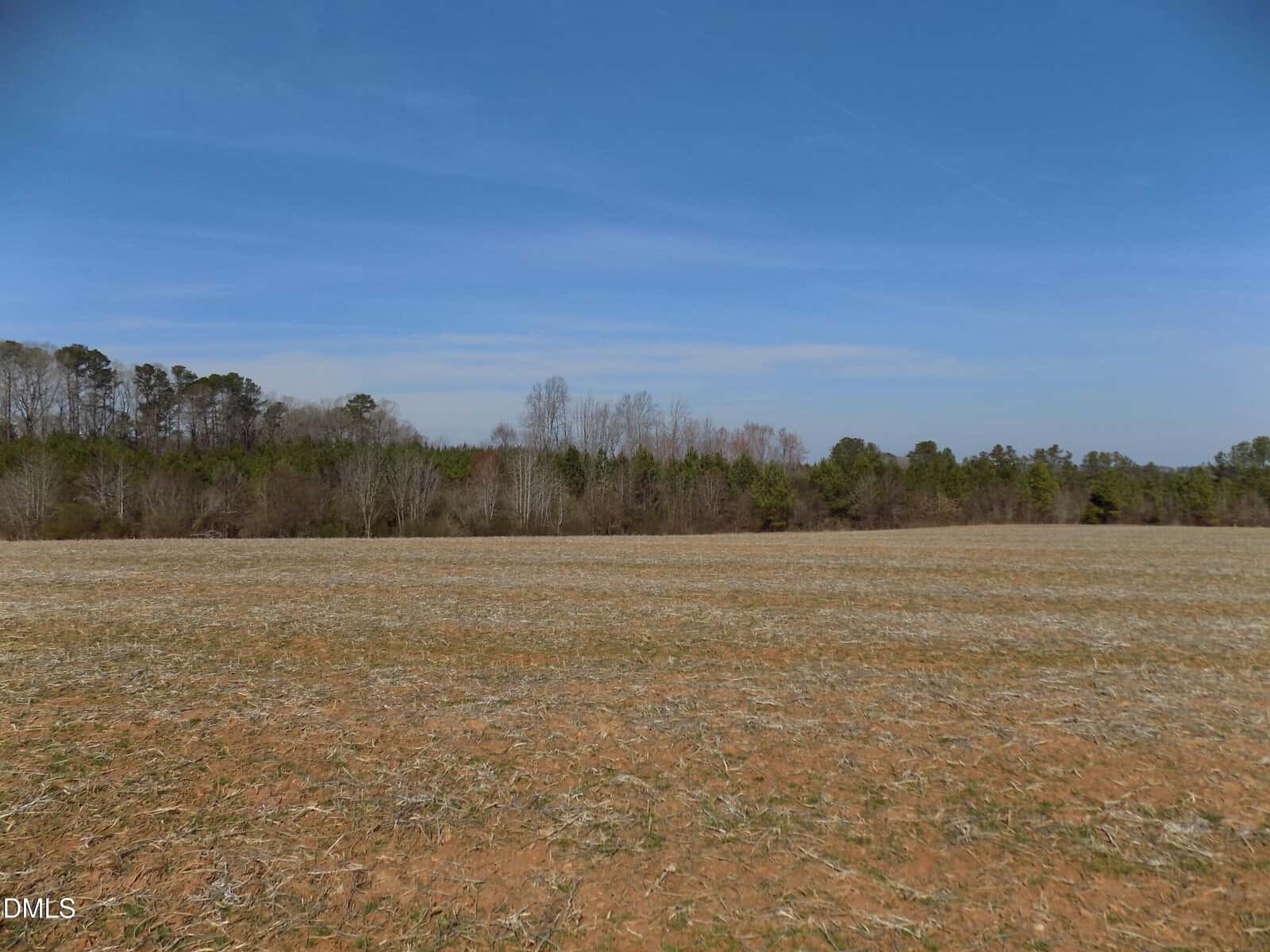 A flat field with sparse, dry grass and bare soil in the foreground. A line of trees borders the field in the background under a clear blue sky.