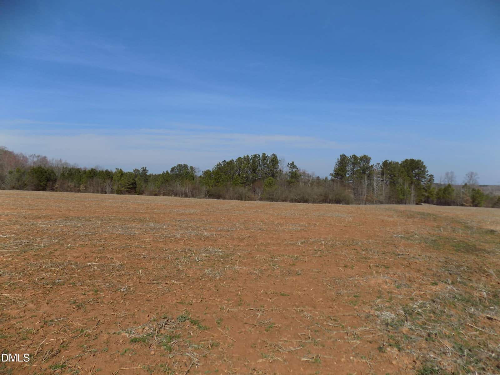 A wide, open field with sparse grass and reddish-brown soil under a blue sky. A line of trees and shrubs borders the field in the distance. The landscape is flat and rural.