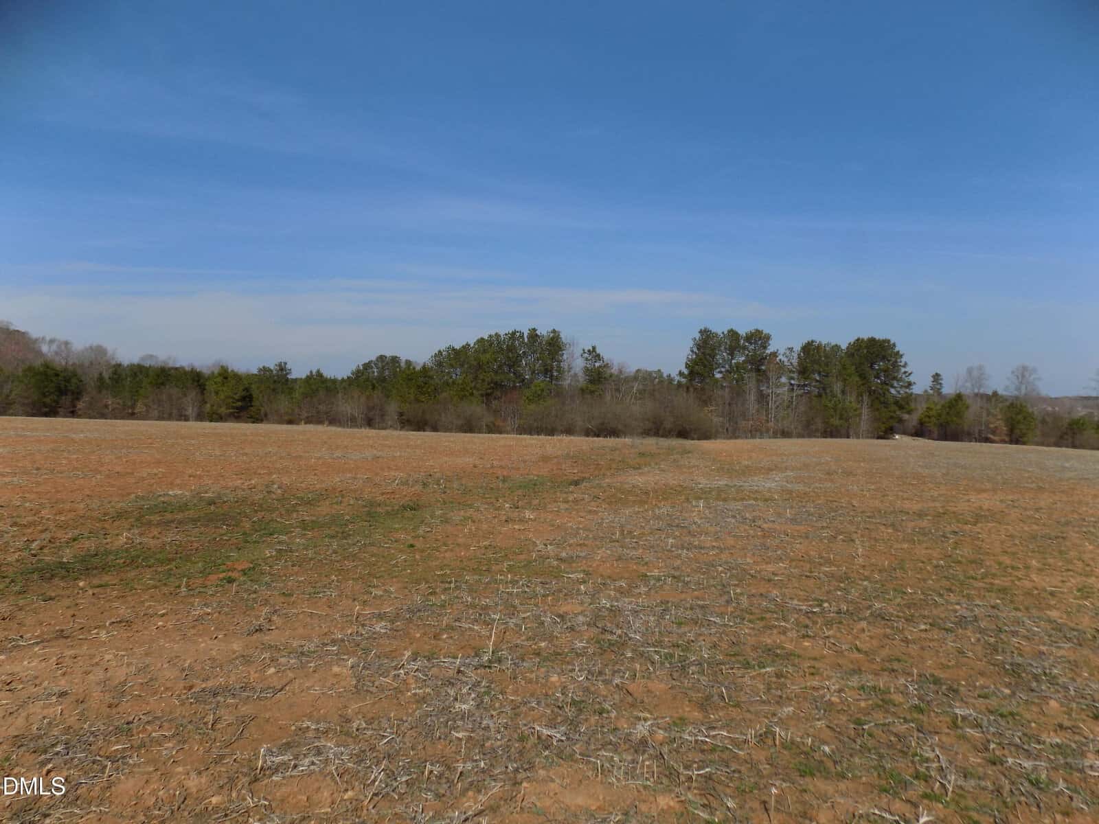 A flat, open field with sparse, dry grass and bare soil stretches toward a line of trees under a clear blue sky. No buildings or people are visible. The horizon is marked by a distant tree line.