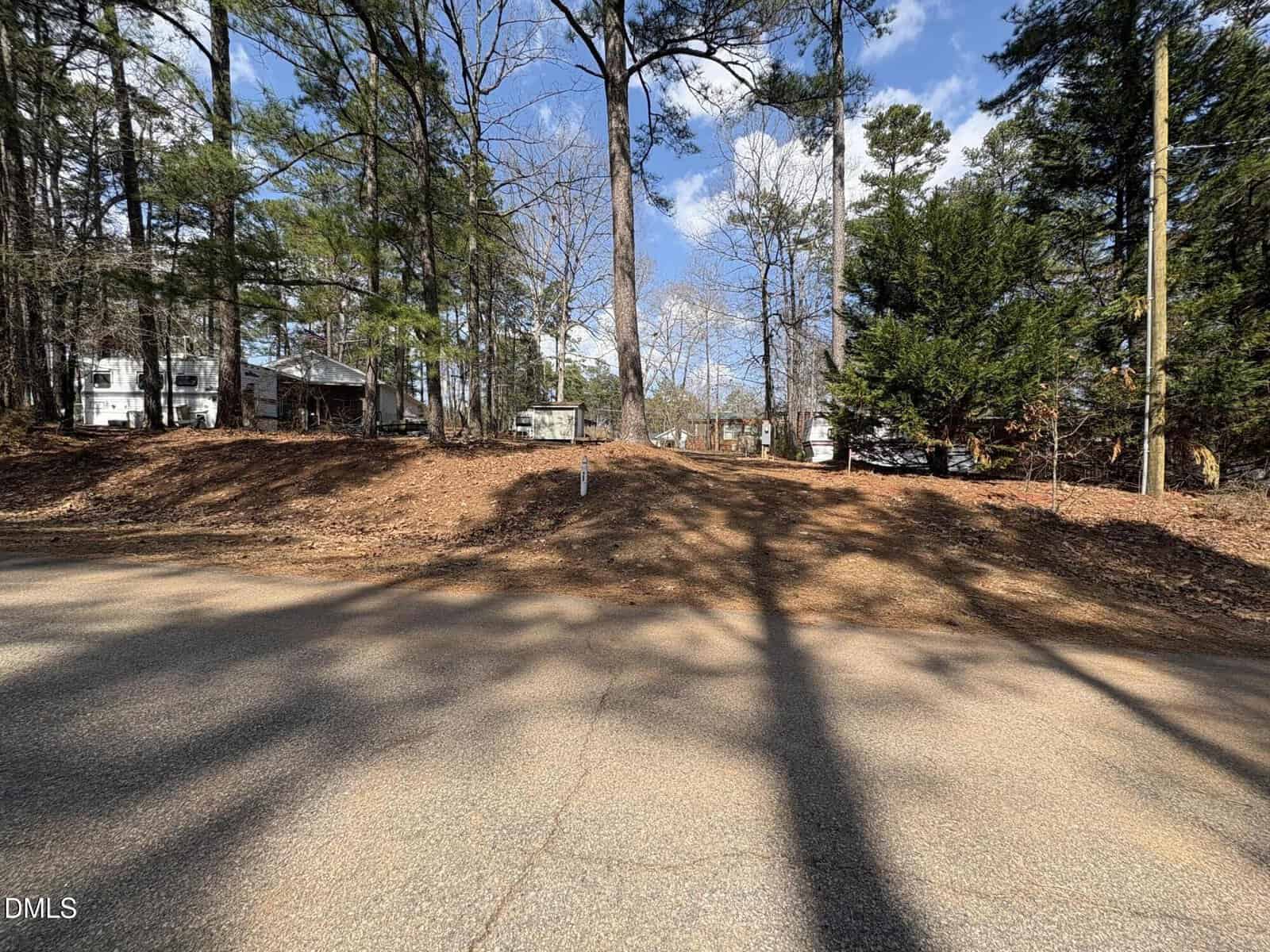 Leaf-covered lot with tall trees, scattered sunlight, and a paved road in the foreground along 156 Mustang Drive. Several houses are visible through the trees in the background of this peaceful Louisburg neighborhood. A utility pole stands to the right.