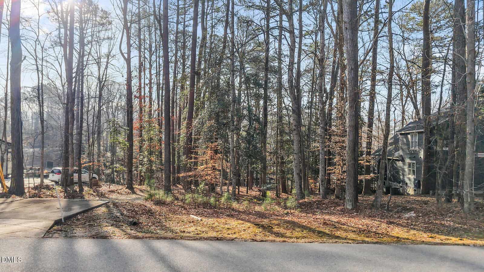 A wooded area with tall trees and sparse underbrush is shown next to a paved road. A driveway and a parked car are visible to the left, and a two-story house appears on the right partially obscured by trees.