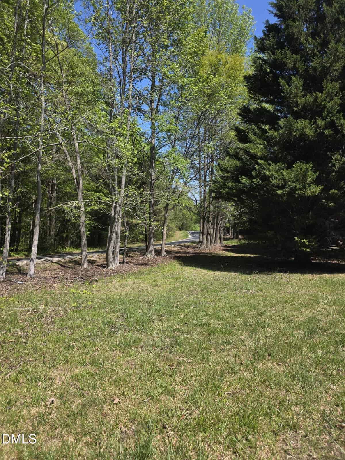 A grassy area bordered by tall trees with fresh green leaves on a sunny day. A narrow path or road, possibly 413 Johnson Town Road in Zebulon, runs through the trees in the background under a clear blue sky.