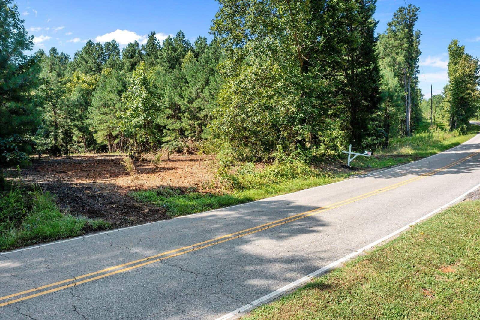 A two-lane rural road runs next to a forested area with tall green trees and a cleared patch of land. A white mailbox stands near the road, and the sky is blue with scattered clouds.
