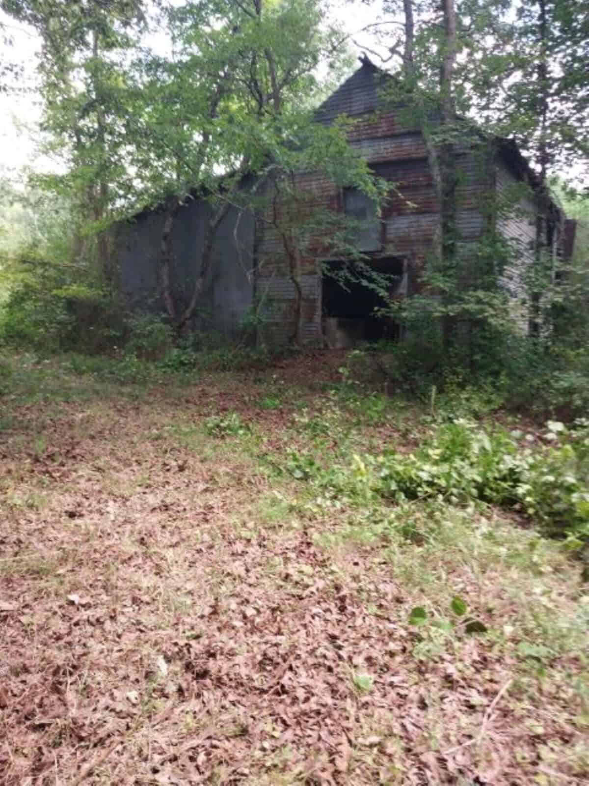 An old, weathered wooden barn stands surrounded by overgrown plants and trees, with an open doorway and rusted metal roofing, set in a clearing with dry leaves scattered on the ground.