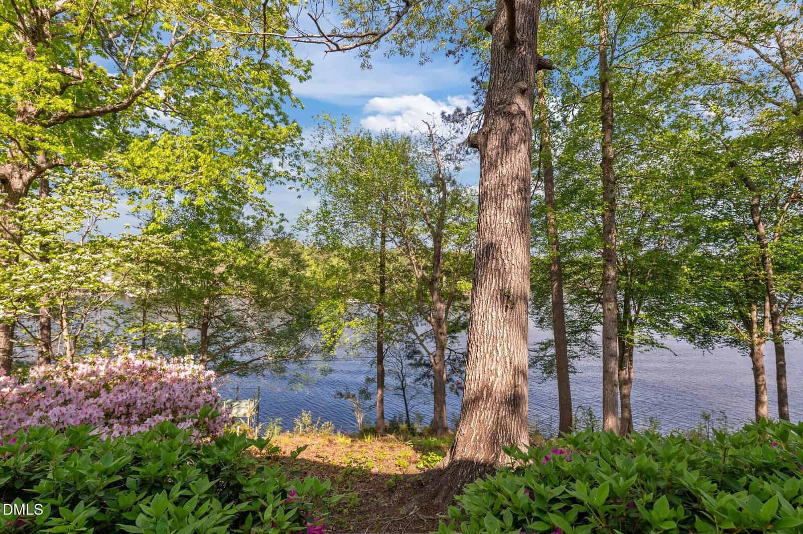 A view of a serene lake through tall trees and lush green foliage, with pink flowering bushes in the foreground under a blue sky with scattered clouds.