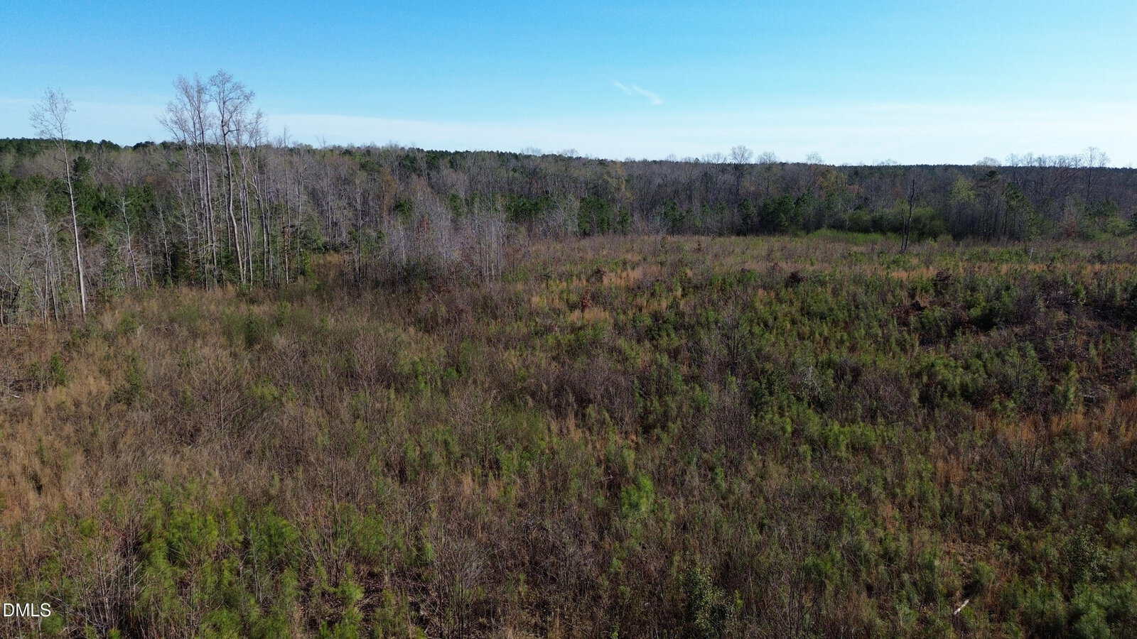 A wide, open field with tall grasses and small shrubs, bordered by a dense forest of leafless and green trees under a clear blue sky.